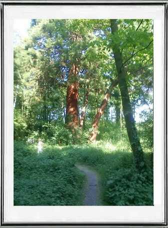 geheimergarten 2 - Kopie